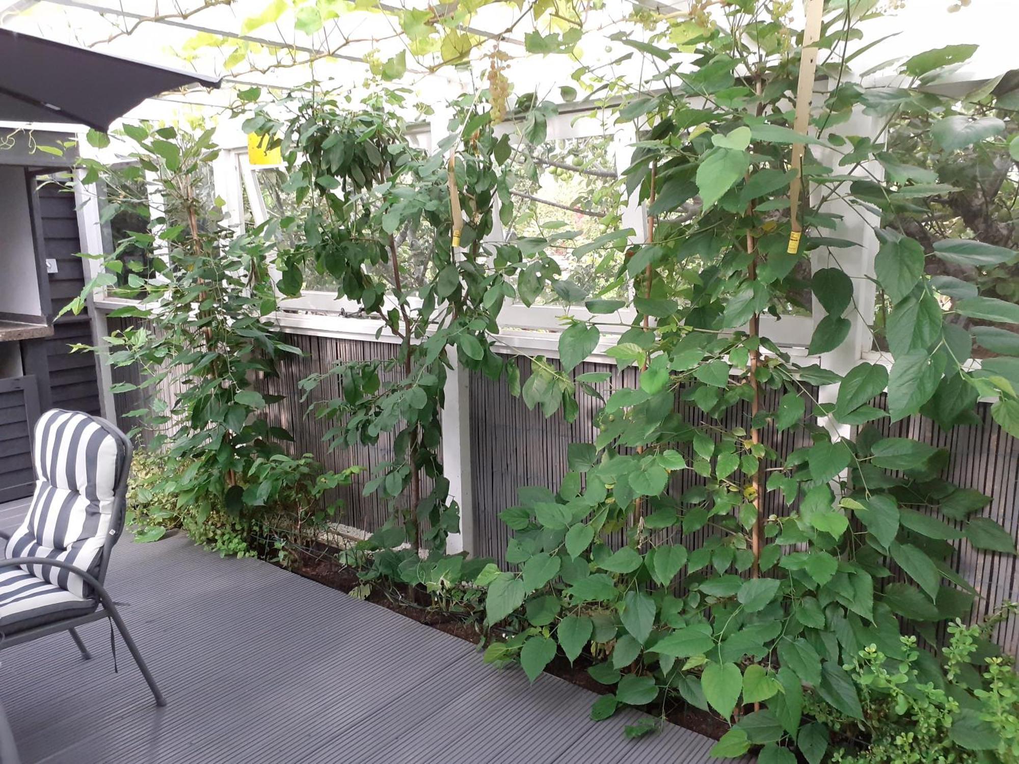 Apartamento The Treehouse By Airlie Nairn Exterior foto